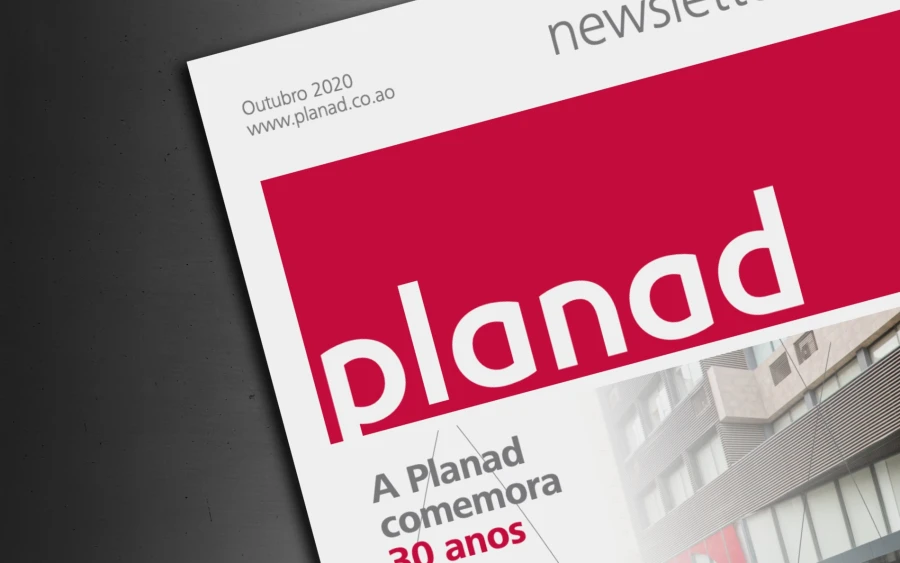 Newsletter N.º 6