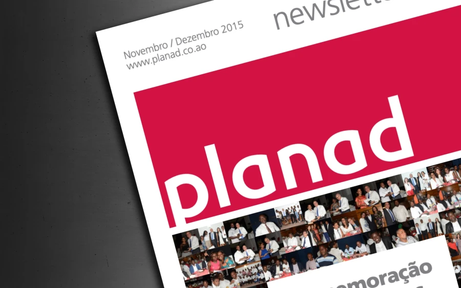 Newsletter N.º 4